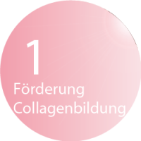 Beautylight Suntime No. 1 Rheda-Wiedenbrück - Förderung der Collagenbildung