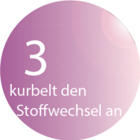 Wellsystem im SSuntime No. 1 Studio in Rheda-Wiedenbrück - kurbelt den Stoffwechsel an 